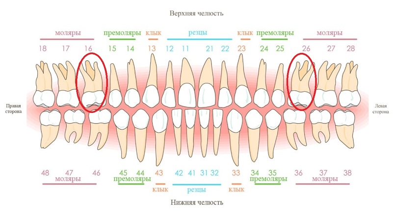 Удаление 7 зуба в Москве: цены, отзывы пациентов